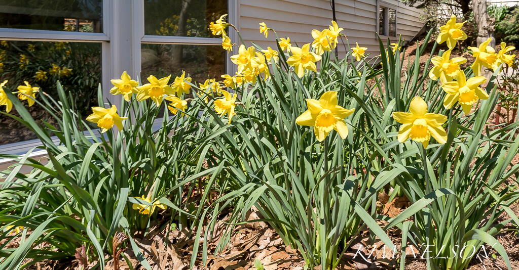 8937 Indian Hills Road Montague, MI 49437 - Photo 17 of 110 8937S.IndianHillsExterior-7LoRes