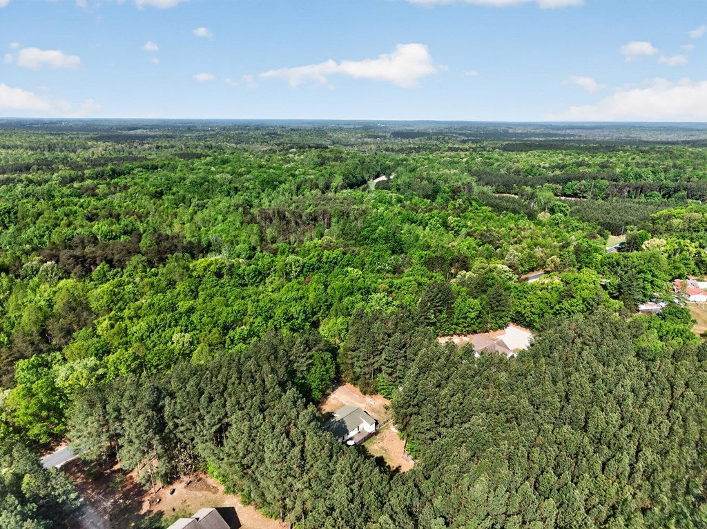 234 Douglas Church Road Farmville, VA 23901 - Photo 51 of 54 Gallery Image 51