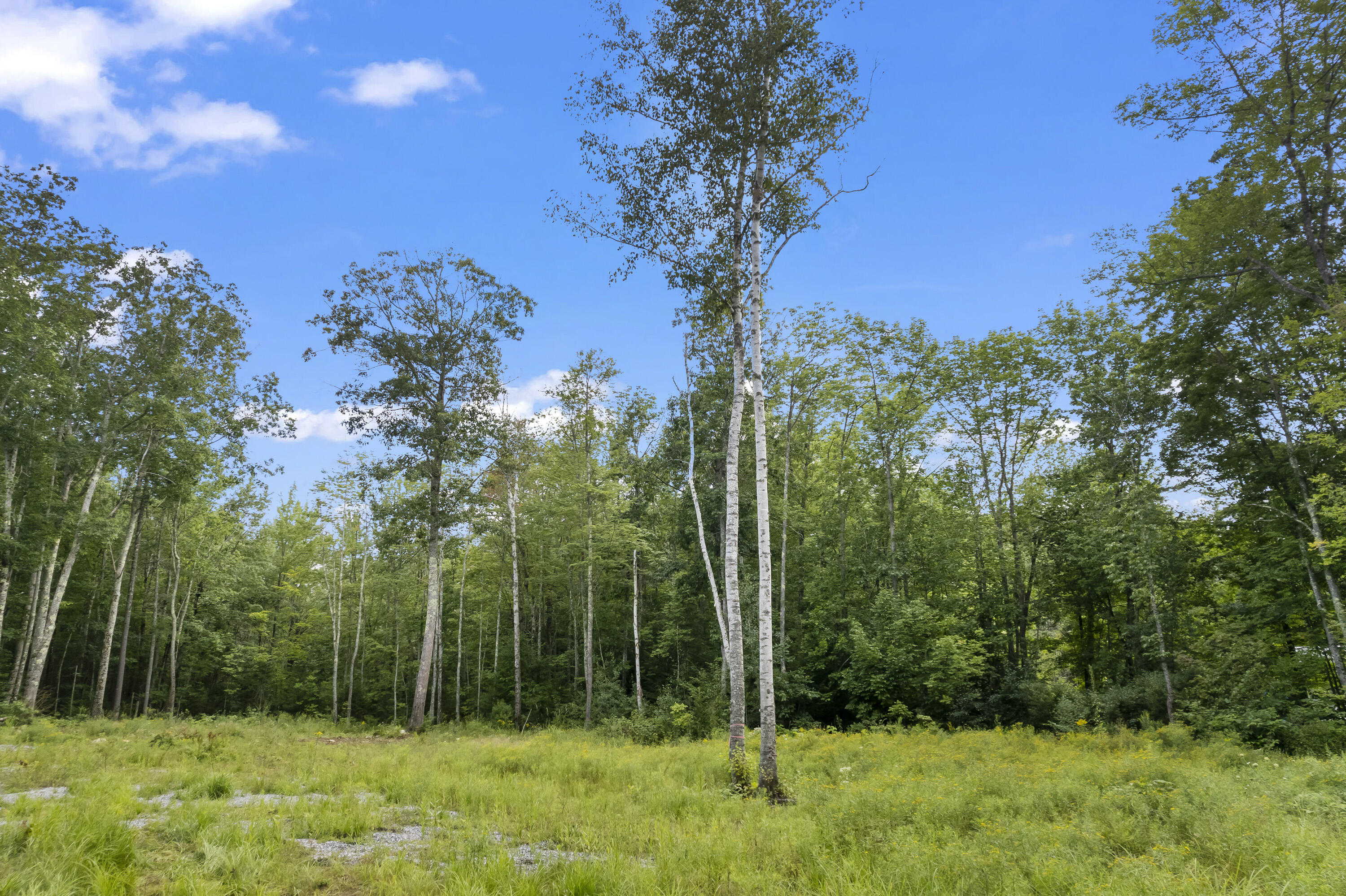 99 Hanley Road Pittston, ME 04345 - Photo 12 of 16 Lot 49-4 Hanley Rd_112