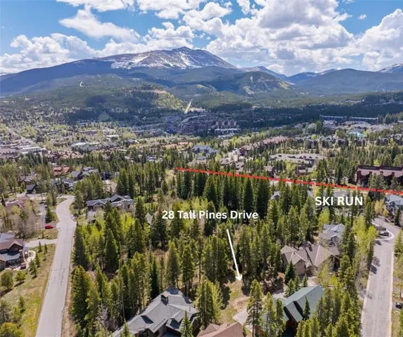 a view of a city with green space