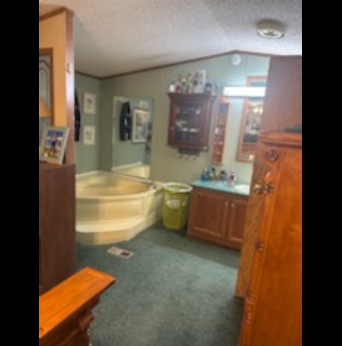 3973 Wilhite Road Sevierville, TN 37876 - Photo 14 of 14