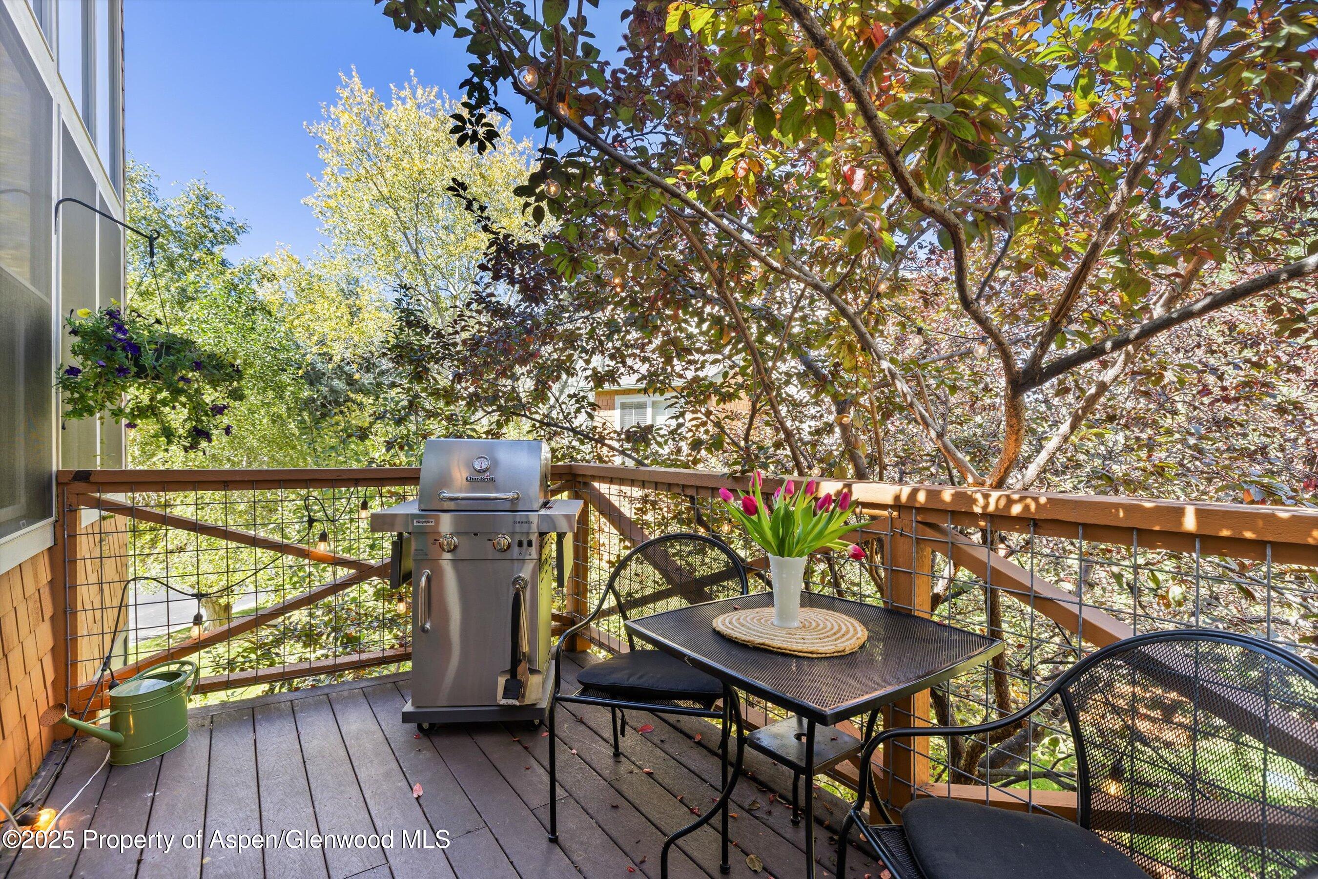 Basalt Proper Basalt, CO 81621 - Photo 11 of 40 10-437JodyRd_2509_0607