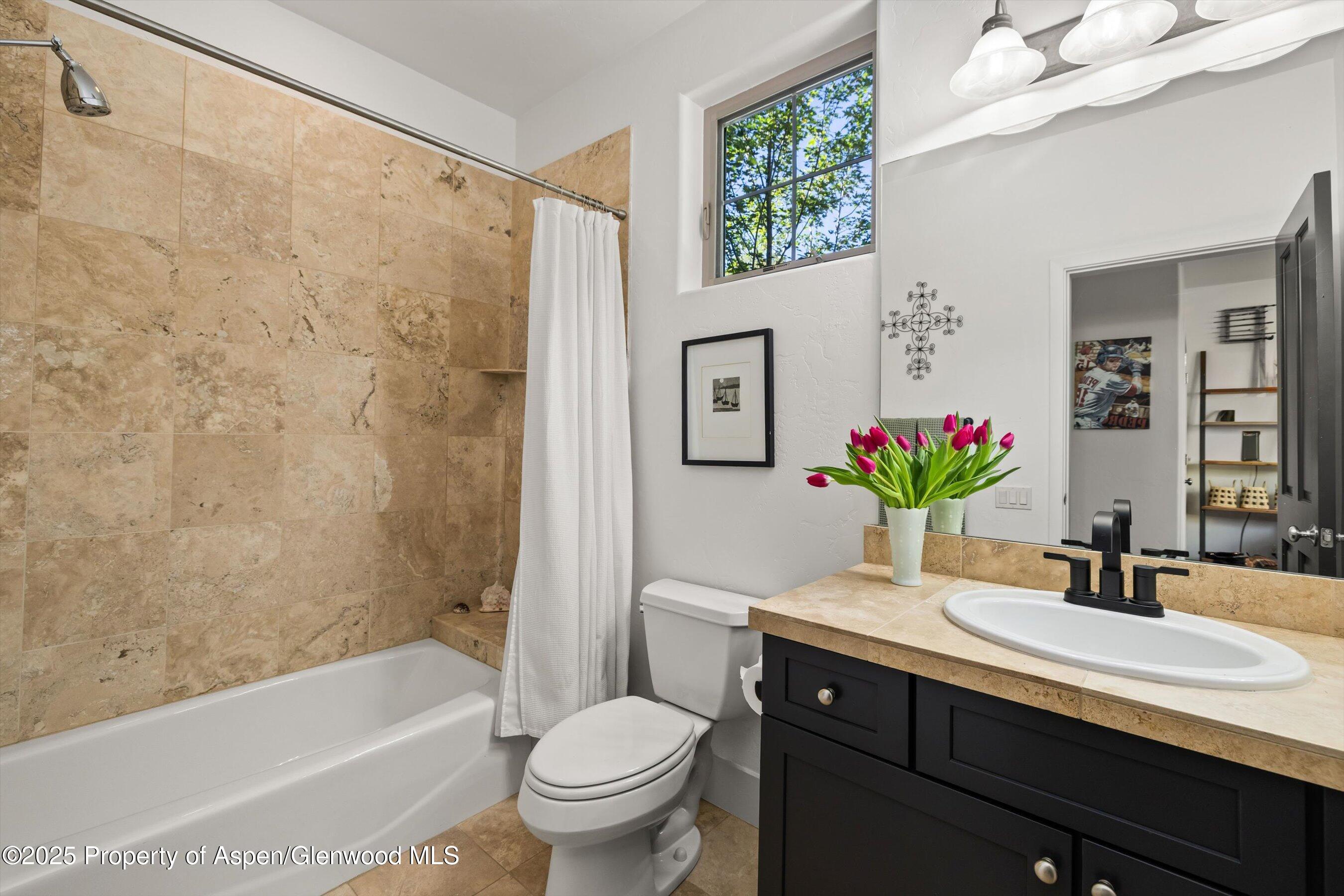 Basalt Proper Basalt, CO 81621 - Photo 31 of 40 30-437JodyRd_2509_0586