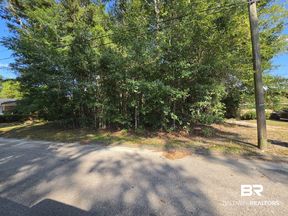 0 Glen Road Brewton, AL 36426 - Photo 2 of 2 Gallery Image 2