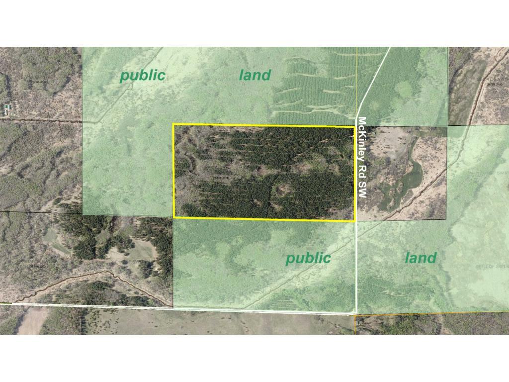 N2-se McKinley Road Southwest Backus, MN 56435 - Photo 1 of 1 Gallery Image 1