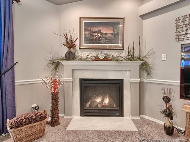 7841 Buttercup Road Weldon, IL 61882 - Photo 5 of 24 a living room with furniture and a fireplace
