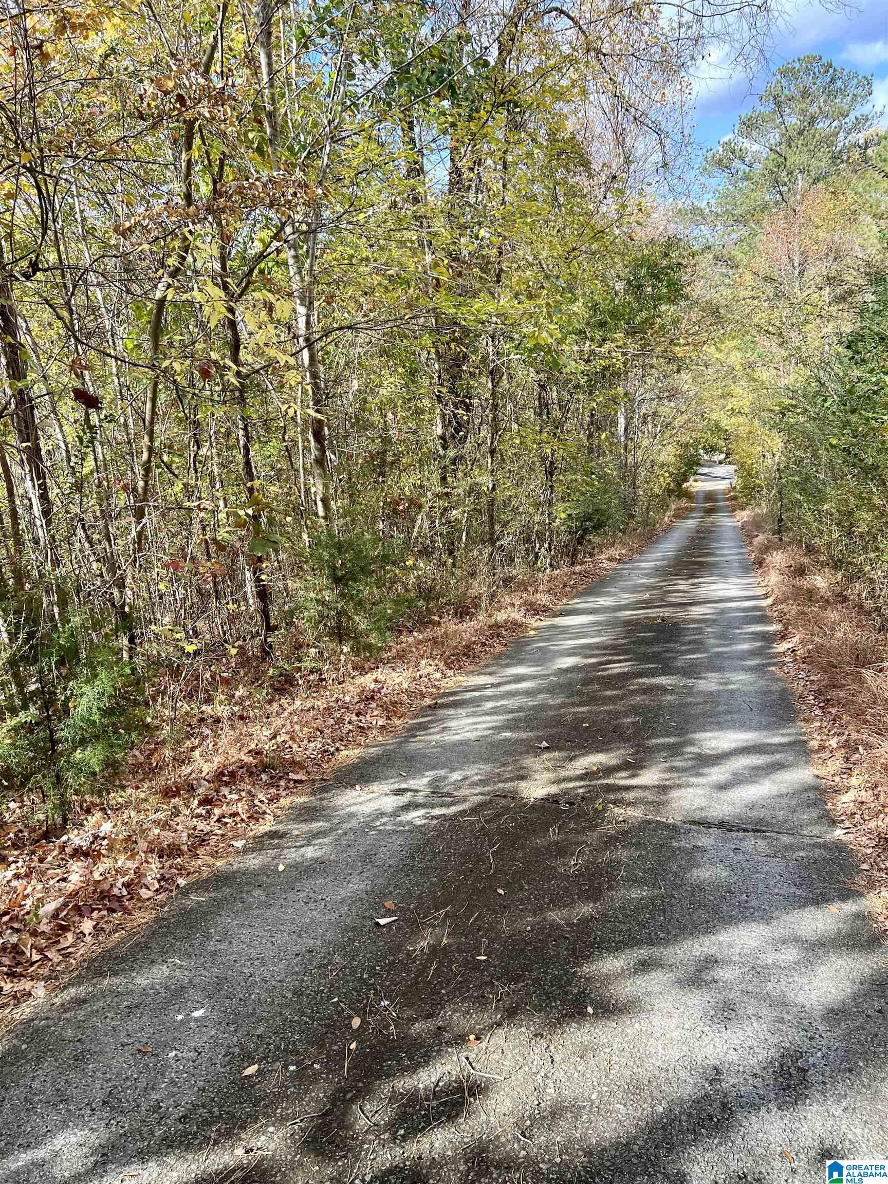 8455 Clayton Road Trussville, AL 35173 - Photo 36 of 65