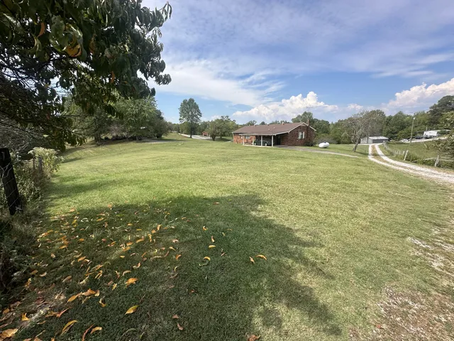 a view of a field with an trees