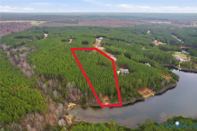 a view of a park with large trees and plants