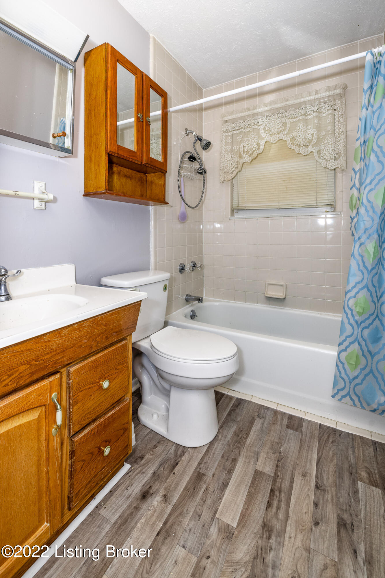 169 Dale Road Louisville, KY 40229 - Photo 17 of 22 Bathroom