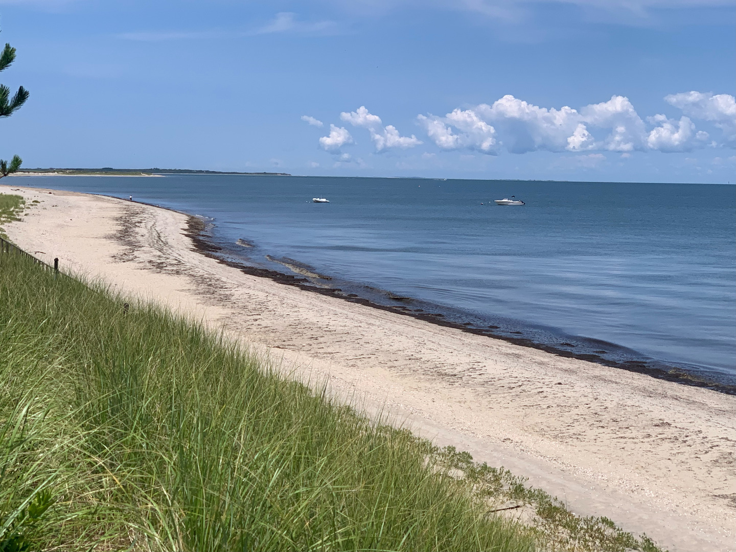 118 Eel Point Road Nantucket, MA 02554 - Photo 3 of 16
