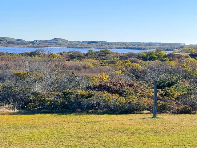 a view of lake and mountain