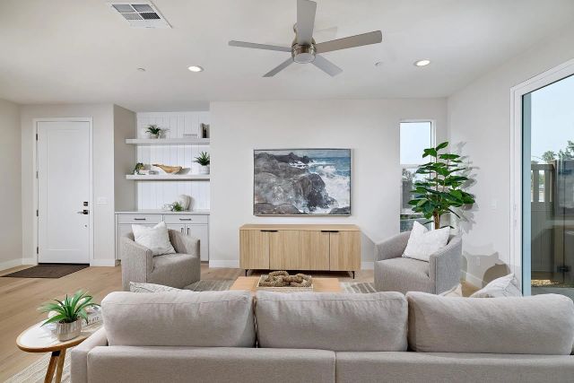 a living room with furniture and a potted plant
