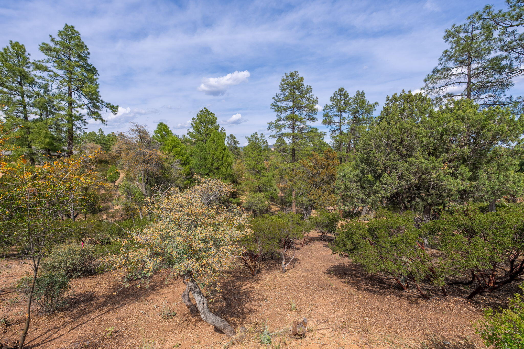 3008 East Arrow Point Payson, AZ 85541 - Photo 6 of 22