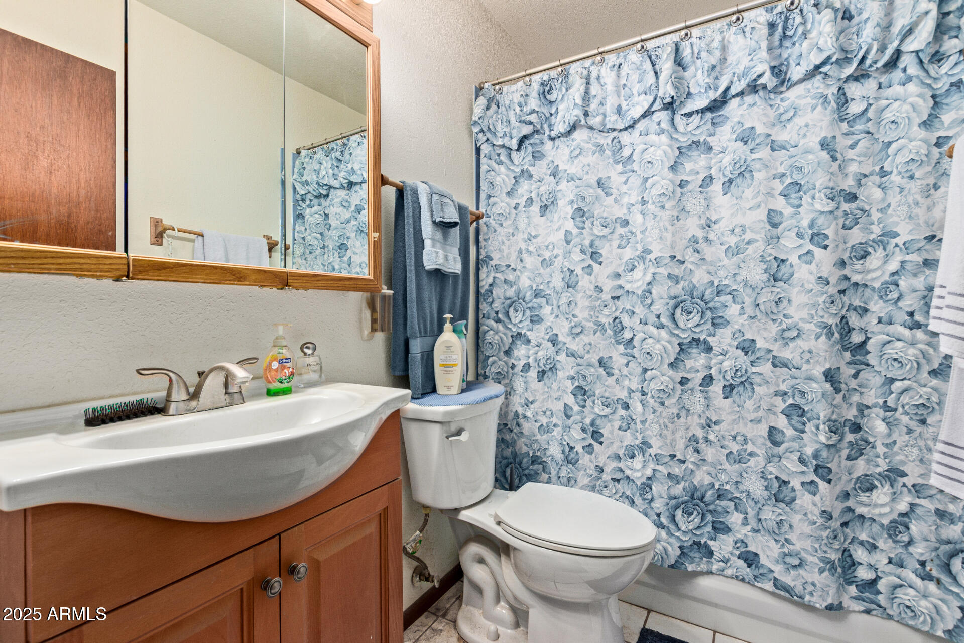 538 East Fred Avenue Apache Junction, AZ 85119 - Photo 16 of 20 a bathroom with a sink a toilet and a mirror