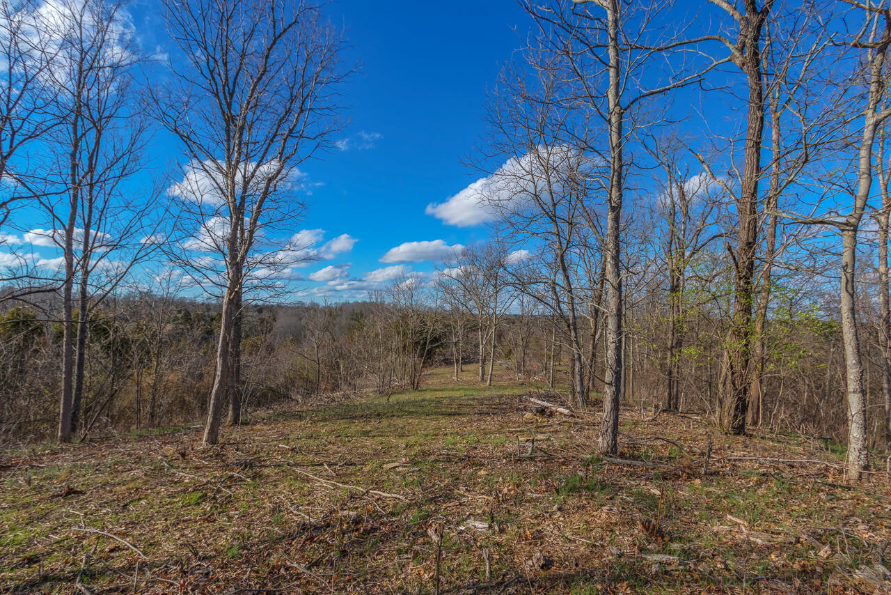 1 Camp Pleasant Road Frankfort, KY 40601 - Photo 54 of 67 098-2918-Cedar-Rd-Stamping-Ground-KY-403
