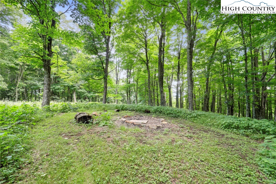 638 Buckeye Ridge Road Vilas, NC 28692 - Photo 42 of 50 Gallery Image 42