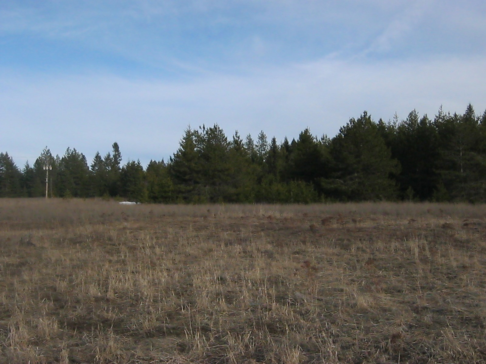 4772 Camden Road, Unit LOT A Newport, WA 99156 - Photo 2 of 19