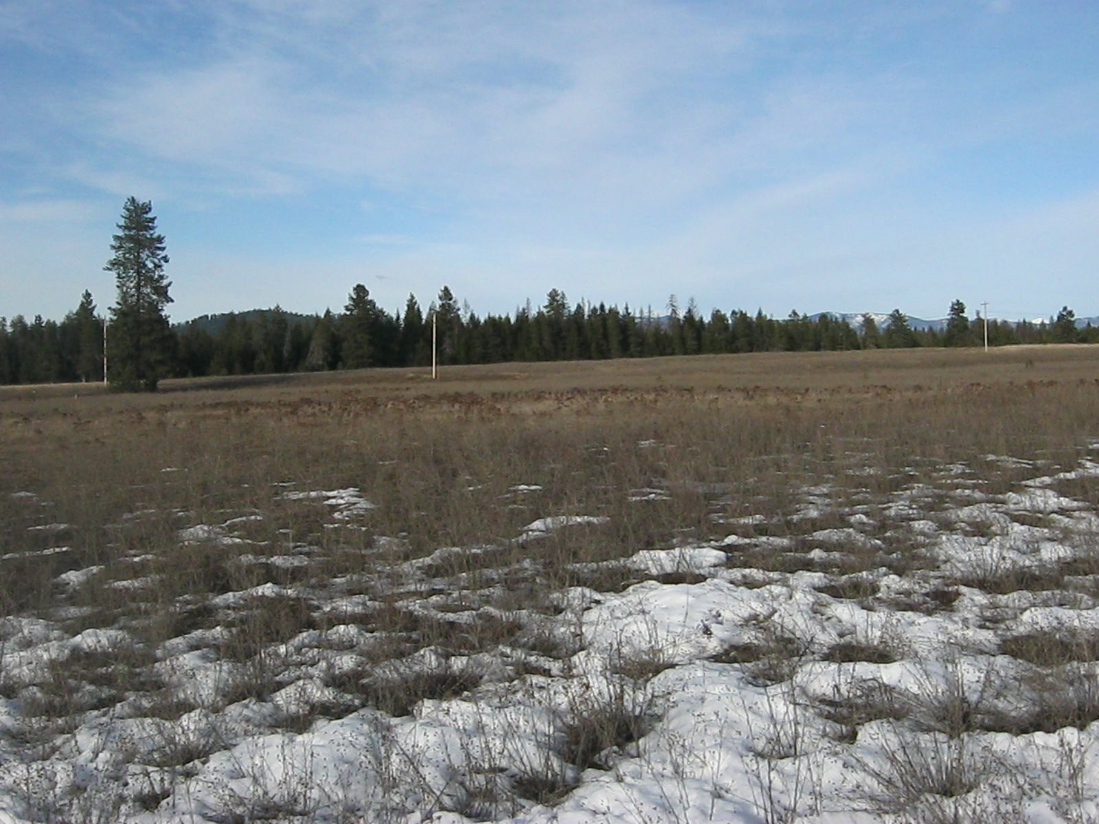 4772 Camden Road, Unit LOT A Newport, WA 99156 - Photo 13 of 19