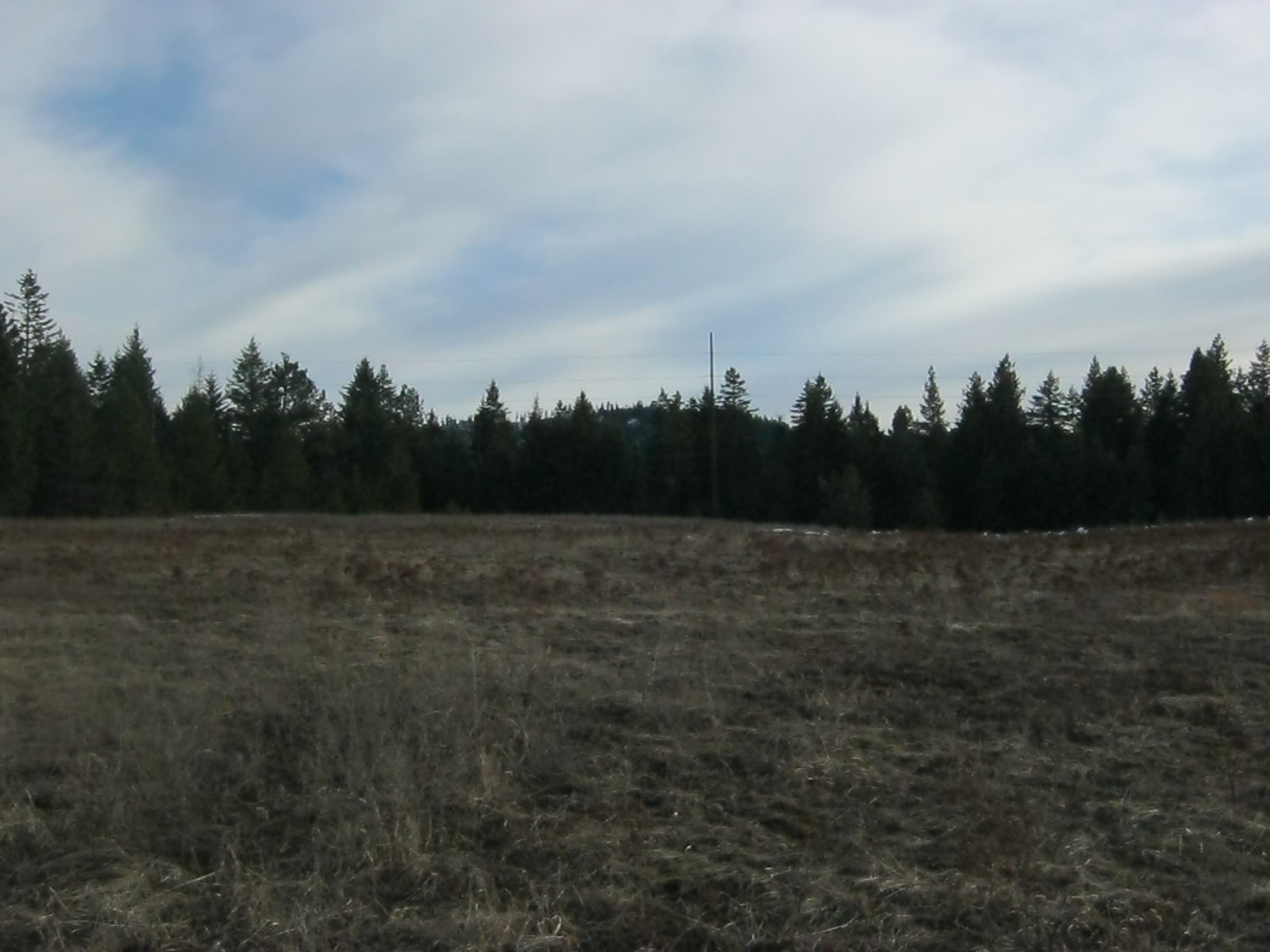 4772 Camden Road, Unit LOT A Newport, WA 99156 - Photo 14 of 19
