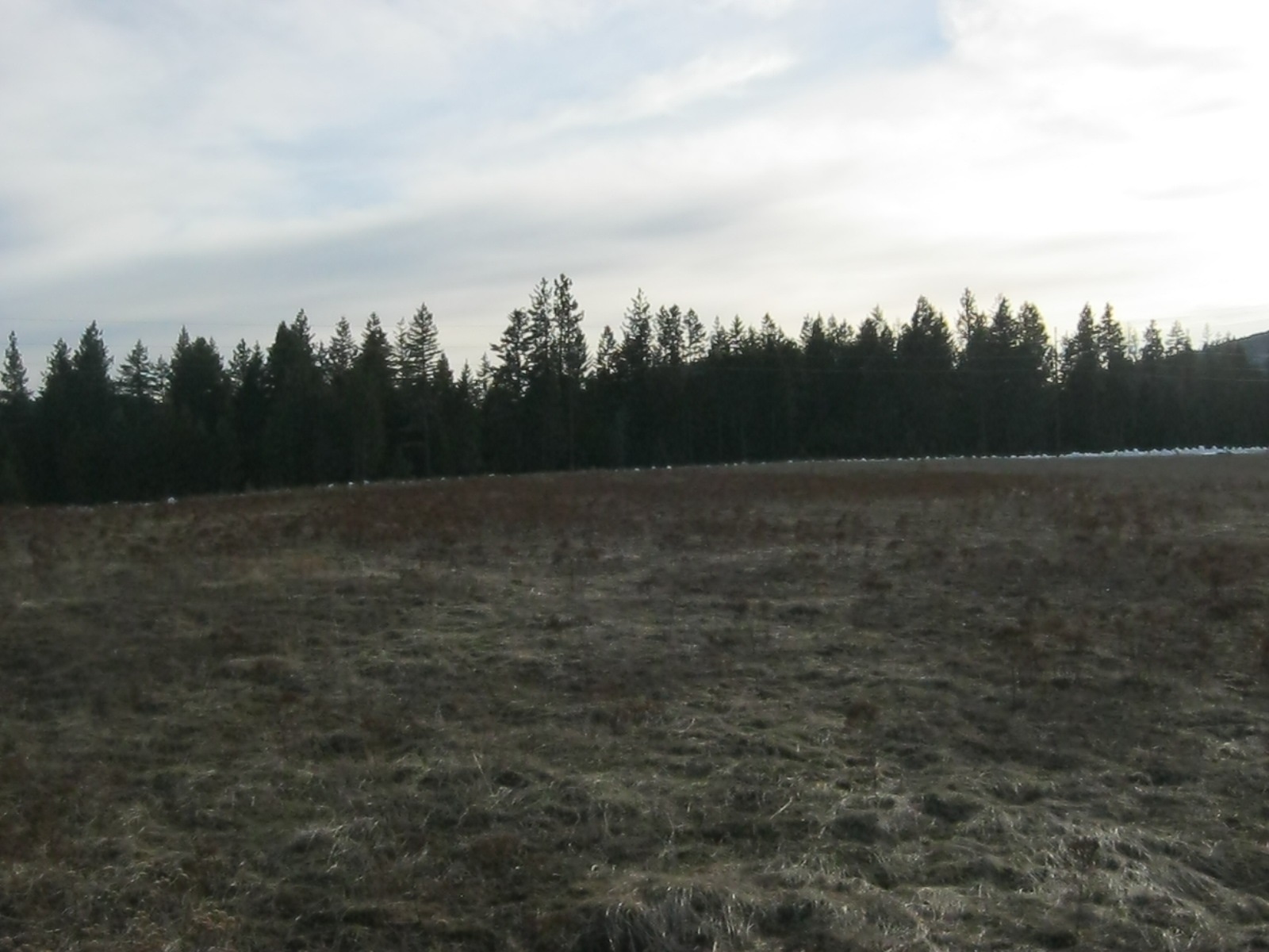 4772 Camden Road, Unit LOT A Newport, WA 99156 - Photo 15 of 19