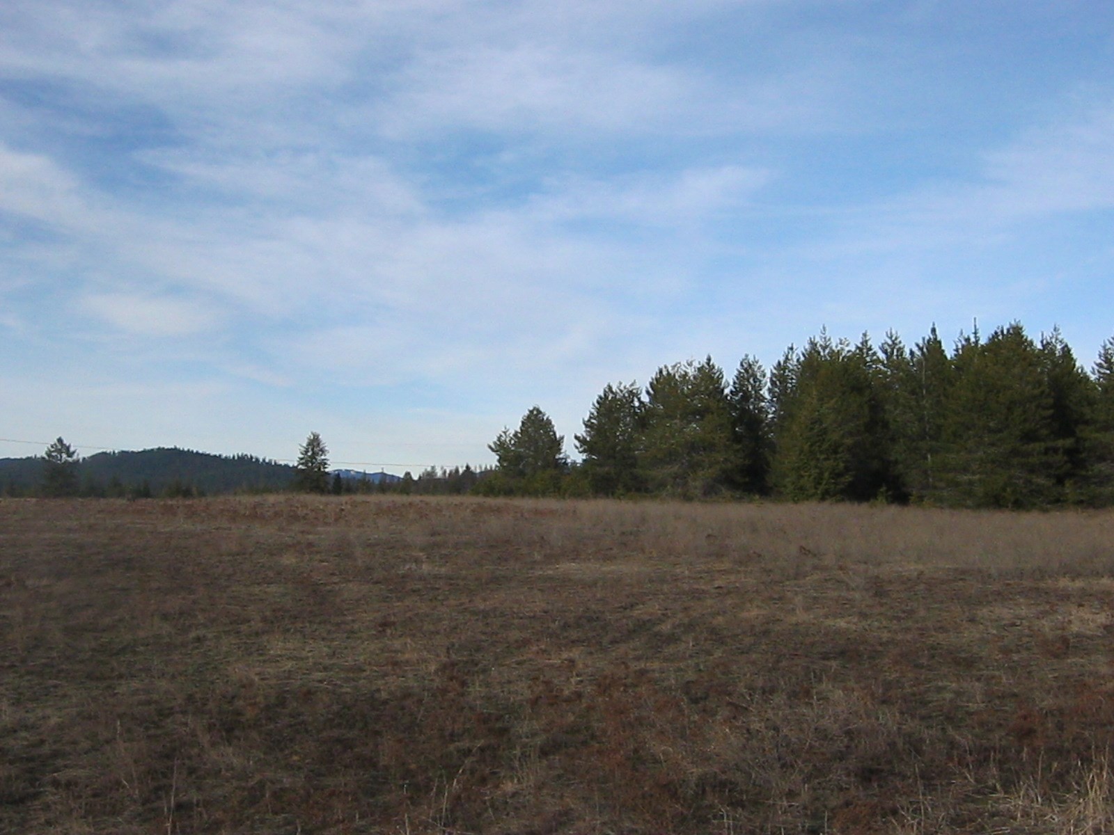 4772 Camden Road, Unit LOT A Newport, WA 99156 - Photo 16 of 19
