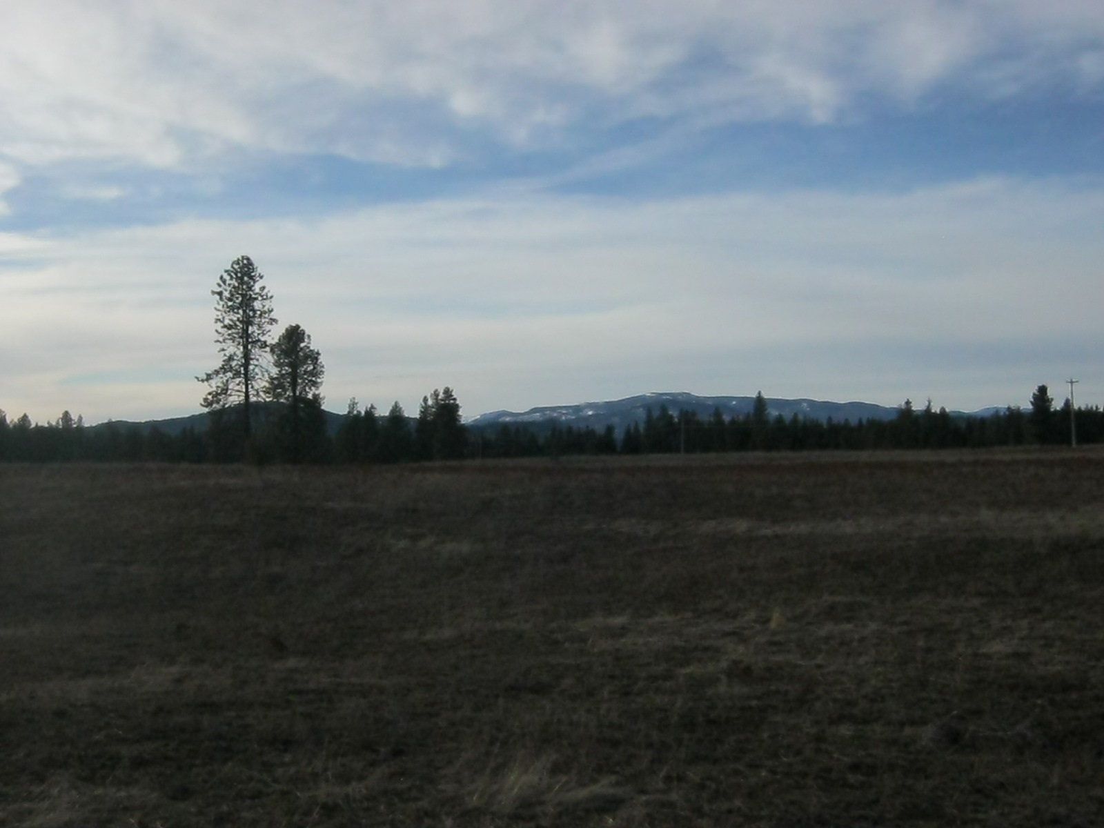 4772 Camden Road, Unit LOT A Newport, WA 99156 - Photo 17 of 19