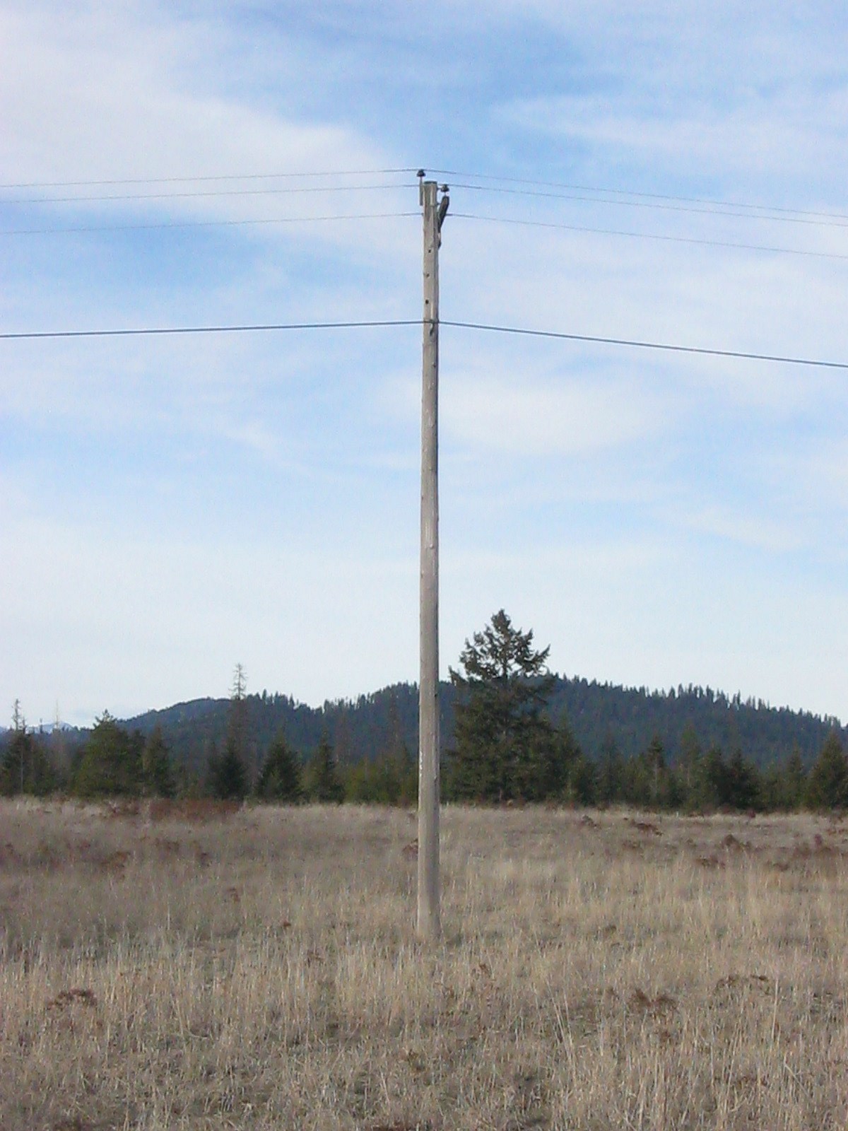 4772 Camden Road, Unit LOT A Newport, WA 99156 - Photo 19 of 19