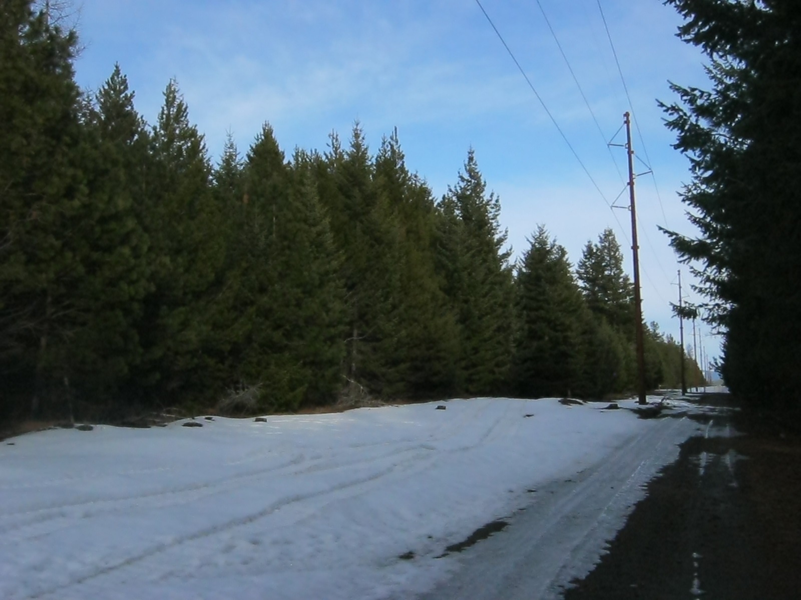 4772 Camden Road, Unit LOT A Newport, WA 99156 - Photo 7 of 19