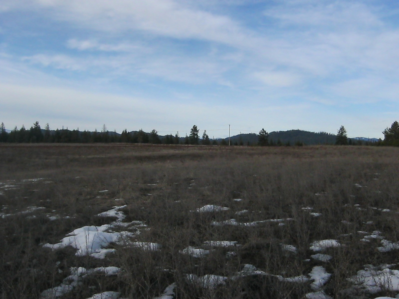 4772 Camden Road, Unit LOT A Newport, WA 99156 - Photo 8 of 19