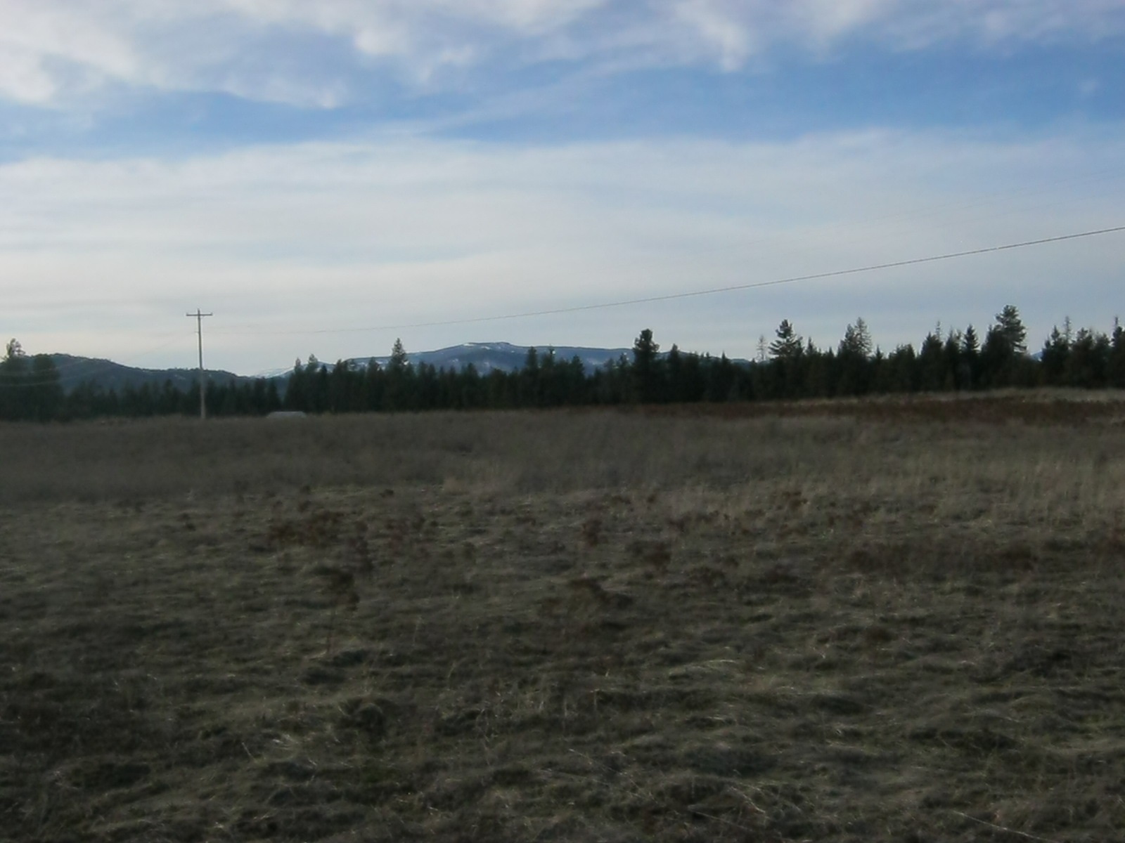 4772 Camden Road, Unit LOT A Newport, WA 99156 - Photo 10 of 19