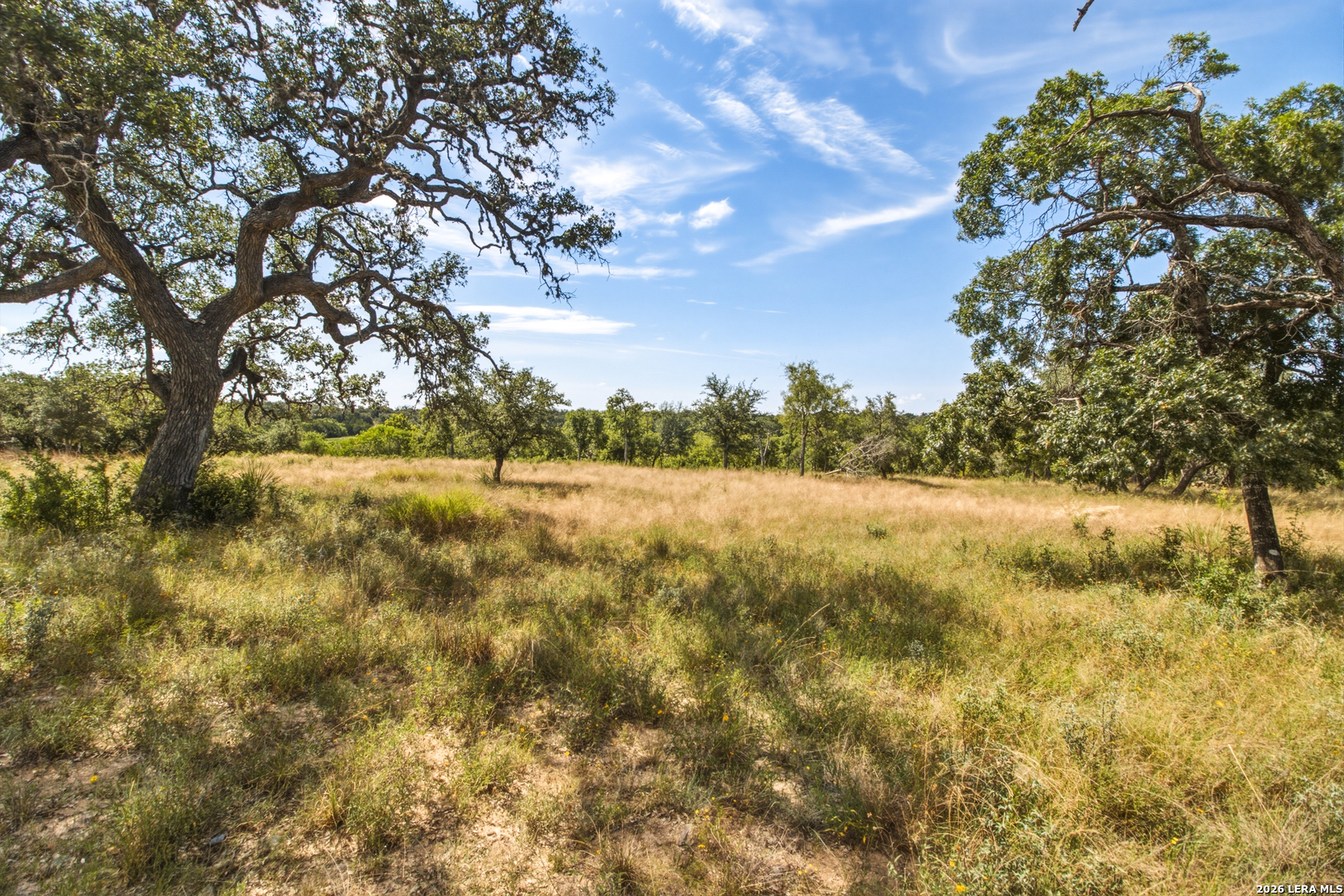 1256 Benton Creek Road Medina, TX 78055 - Photo 38 of 38