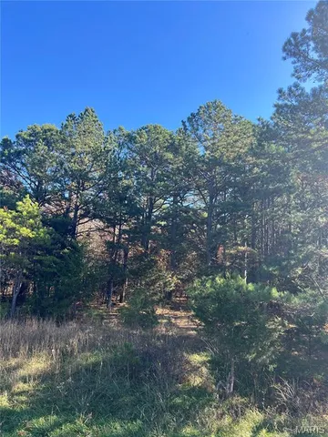 $399,000 | 19723 Friendship Drive, Raymondville, MO 65555