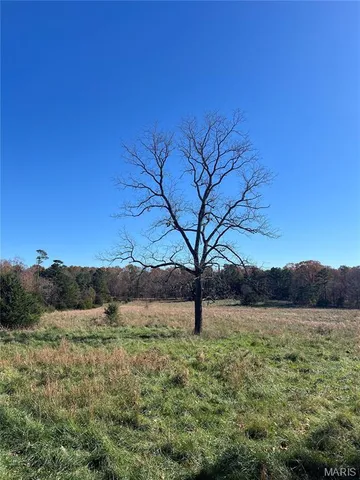 $399,000 | 19723 Friendship Drive, Raymondville, MO 65555