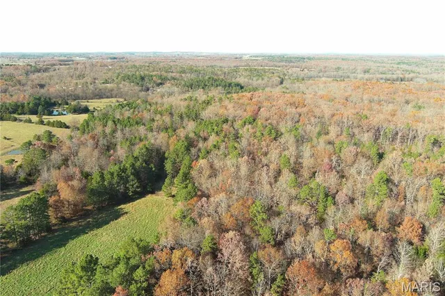 $399,000 | 19723 Friendship Drive, Raymondville, MO 65555