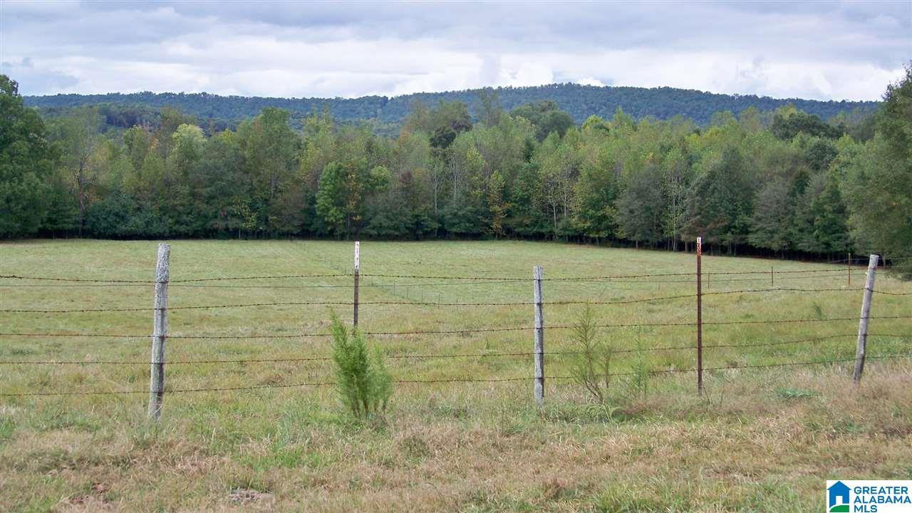 455 Bristow Creek Road Altoona, AL 35952 - Photo 5 of 21