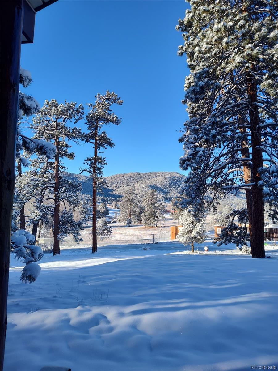 23094 Ohkay Road Indian Hills, CO 80454 - Photo 47 of 50