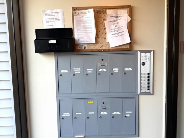 a picture of street with lots of trees