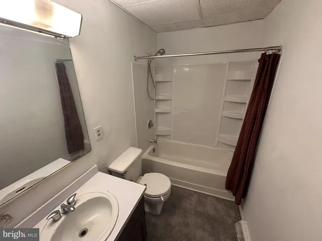 a bathroom with a sink and a toilet