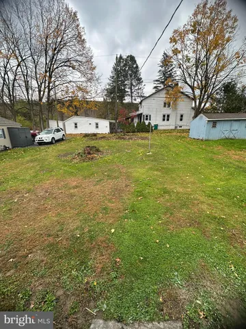 a view of a large yard with plants and trees