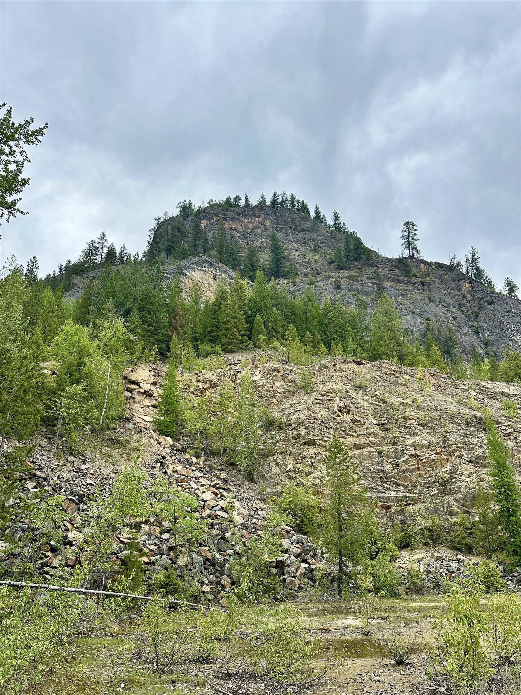 Nka Nka Boundary Road Colville, WA 99114 - Photo 24 of 41