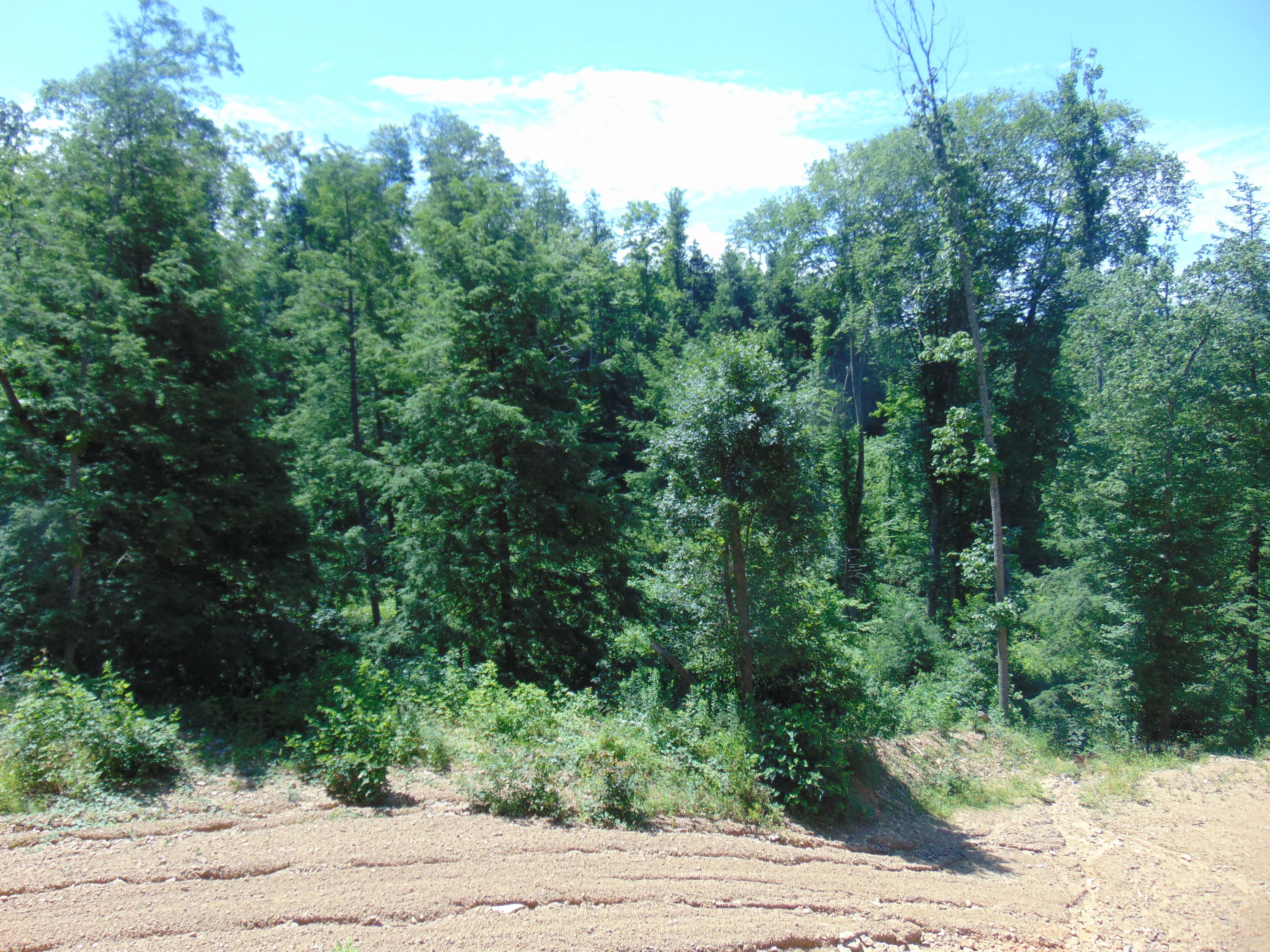Sims Branch Rd Mount Mount Hope, WV 25880 - Photo 13 of 18 Gallery Image 13
