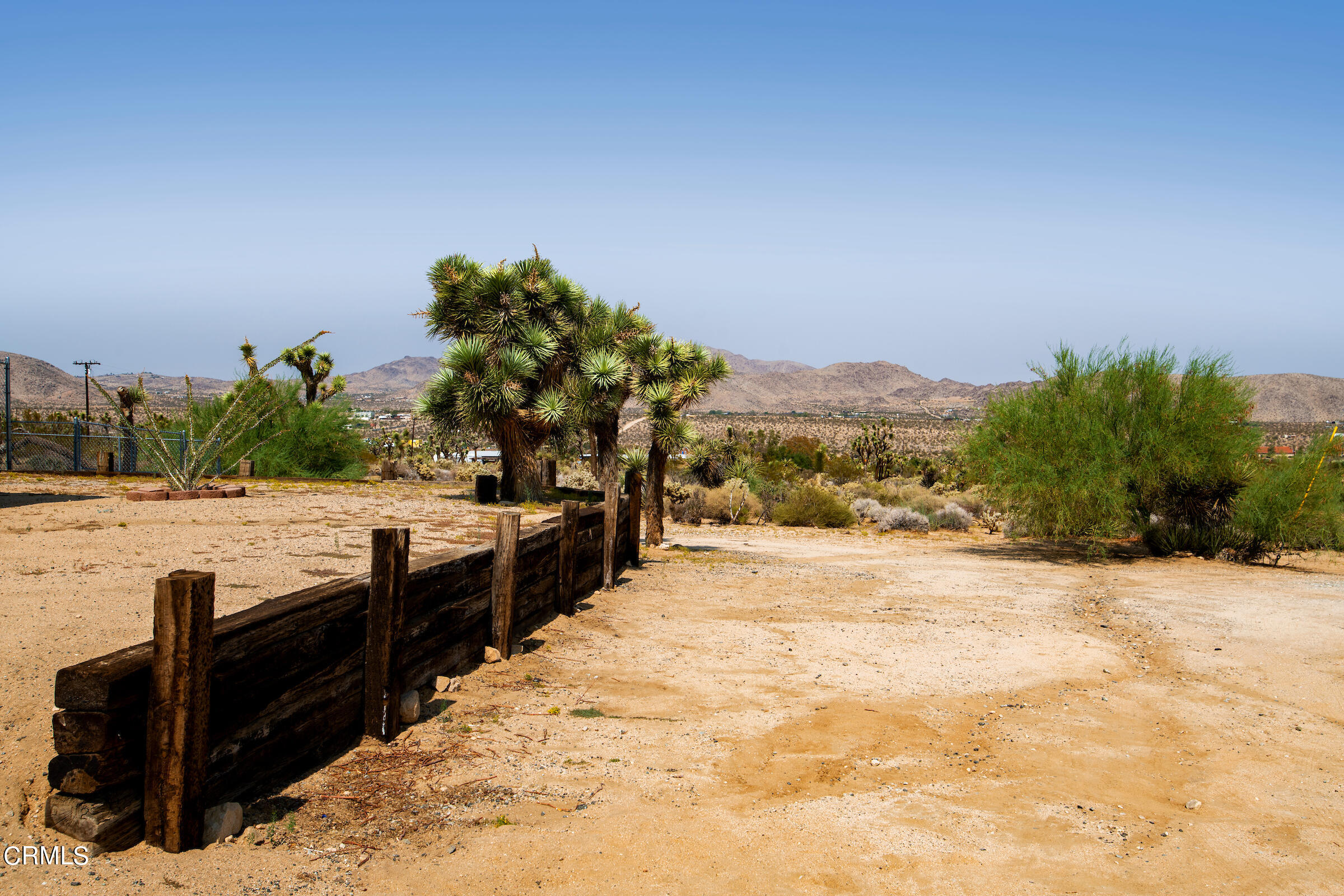 6864 Sunnyhill Road Joshua Tree, CA 92252 - Photo 8 of 71 a view of a terrace with a garden