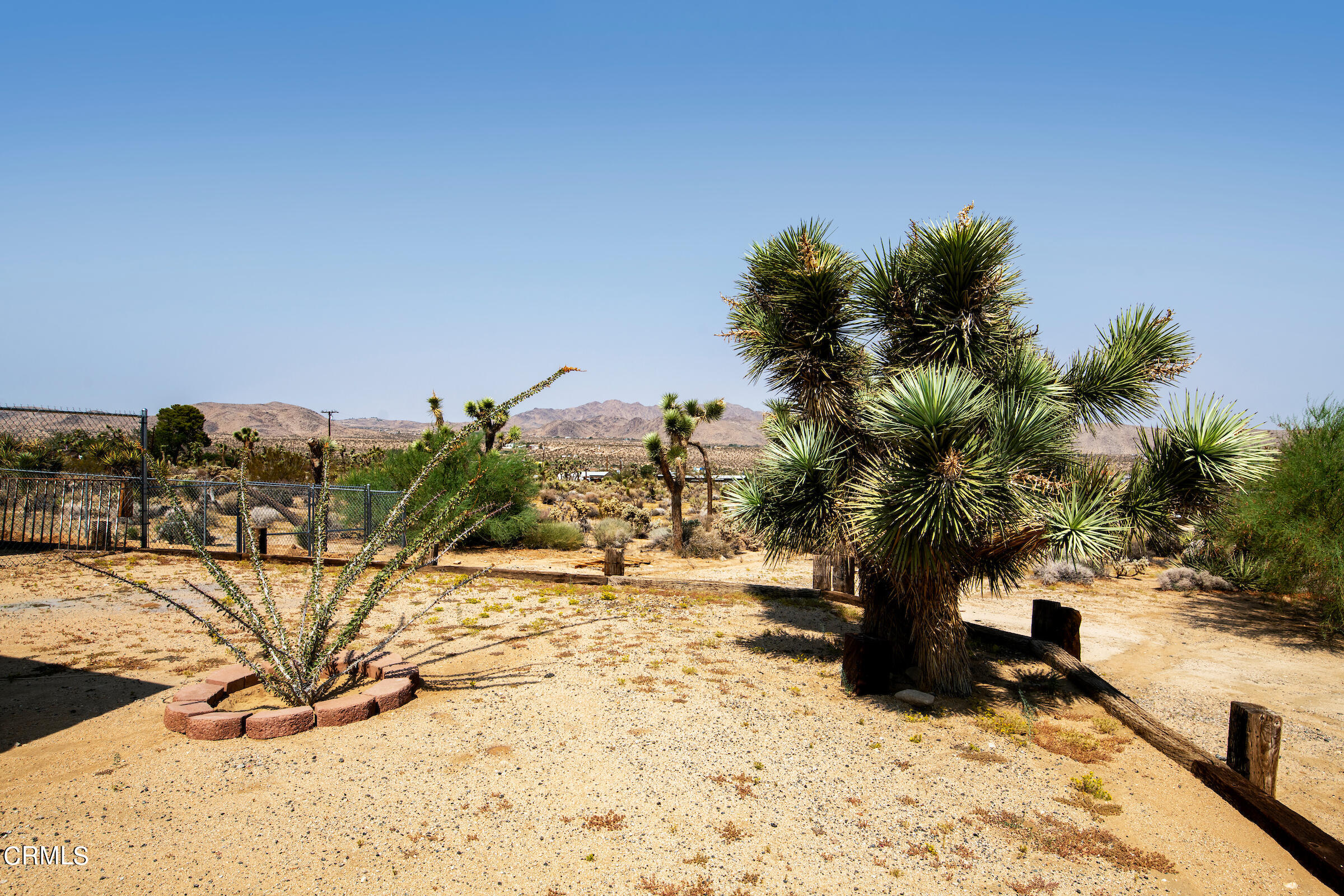6864 Sunnyhill Road Joshua Tree, CA 92252 - Photo 9 of 71 a view of a yard covered with snow in the background