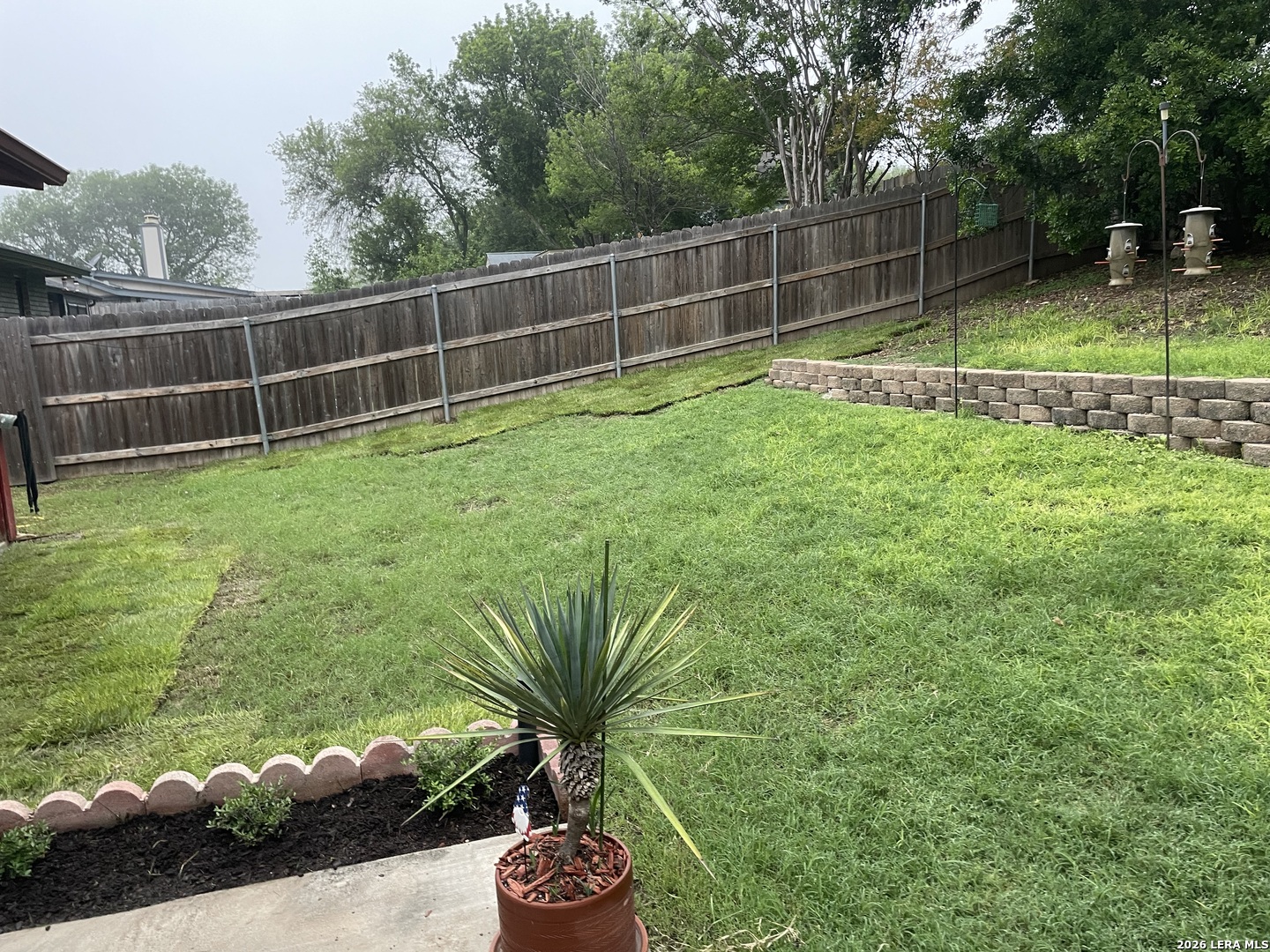 4814 Cherry Tree Drive Schertz, TX 78108 - Photo 3 of 4