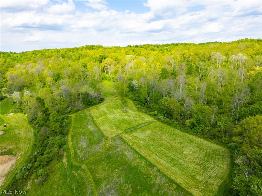 69800 Skull Fork Road Freeport, OH 43973 - Photo 15 of 50