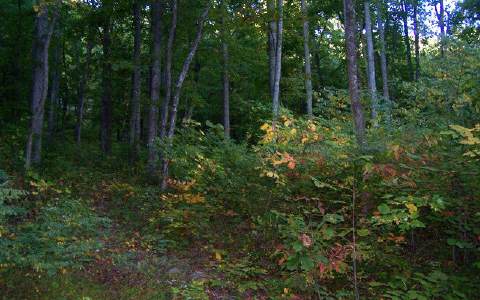 126 Old Fain Road Murphy, NC 28906 - Photo 1 of 1 Main View