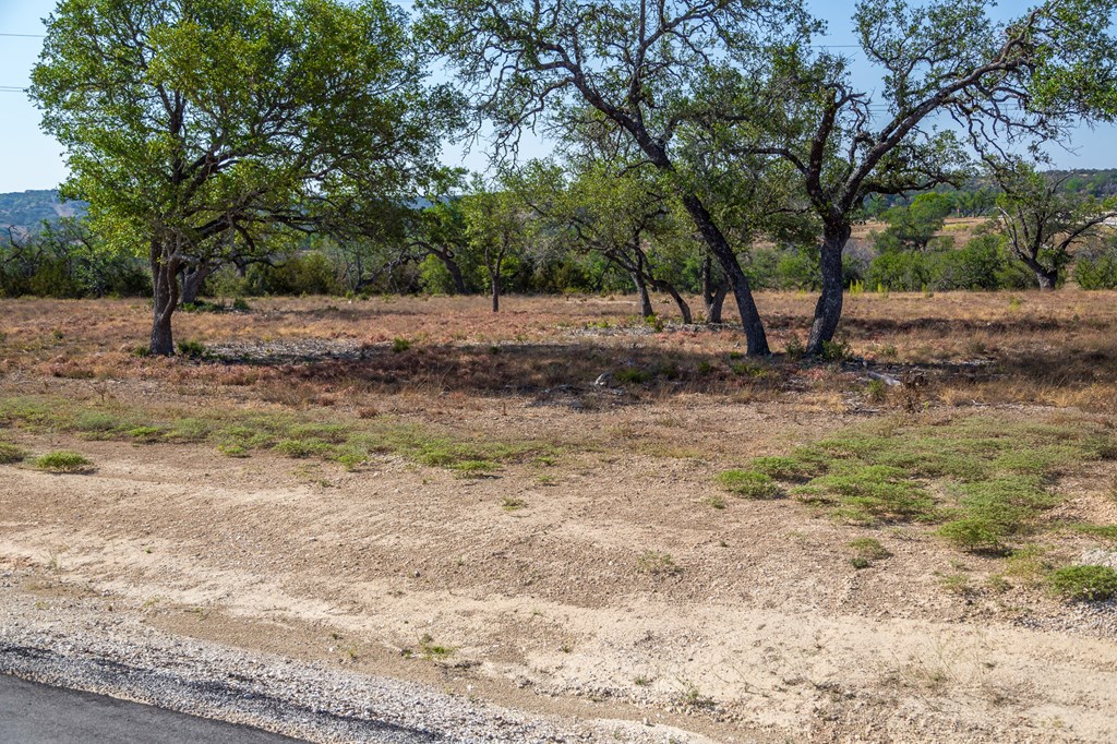 Tbd Tbd Other Center Point, TX 78010 - Photo 16 of 24