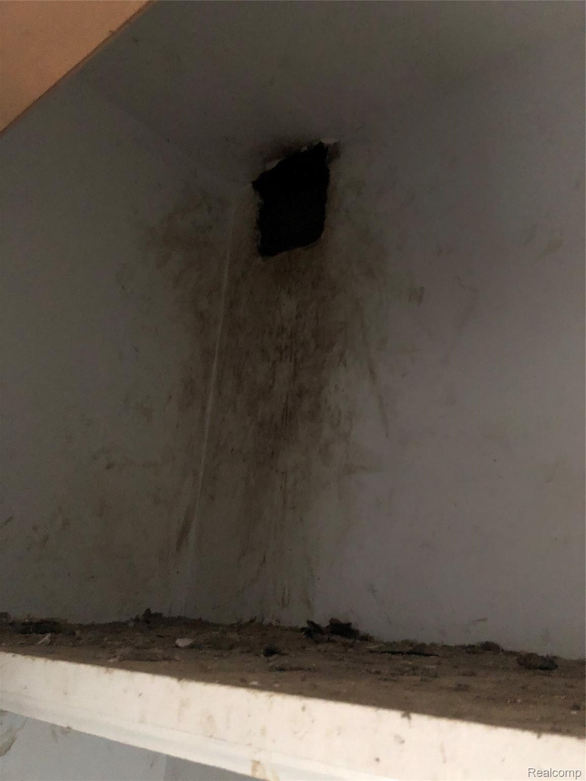 8655 North Nicholson Road Fowlerville, MI 48836 - Photo 17 of 32 Critter hole in a closet.