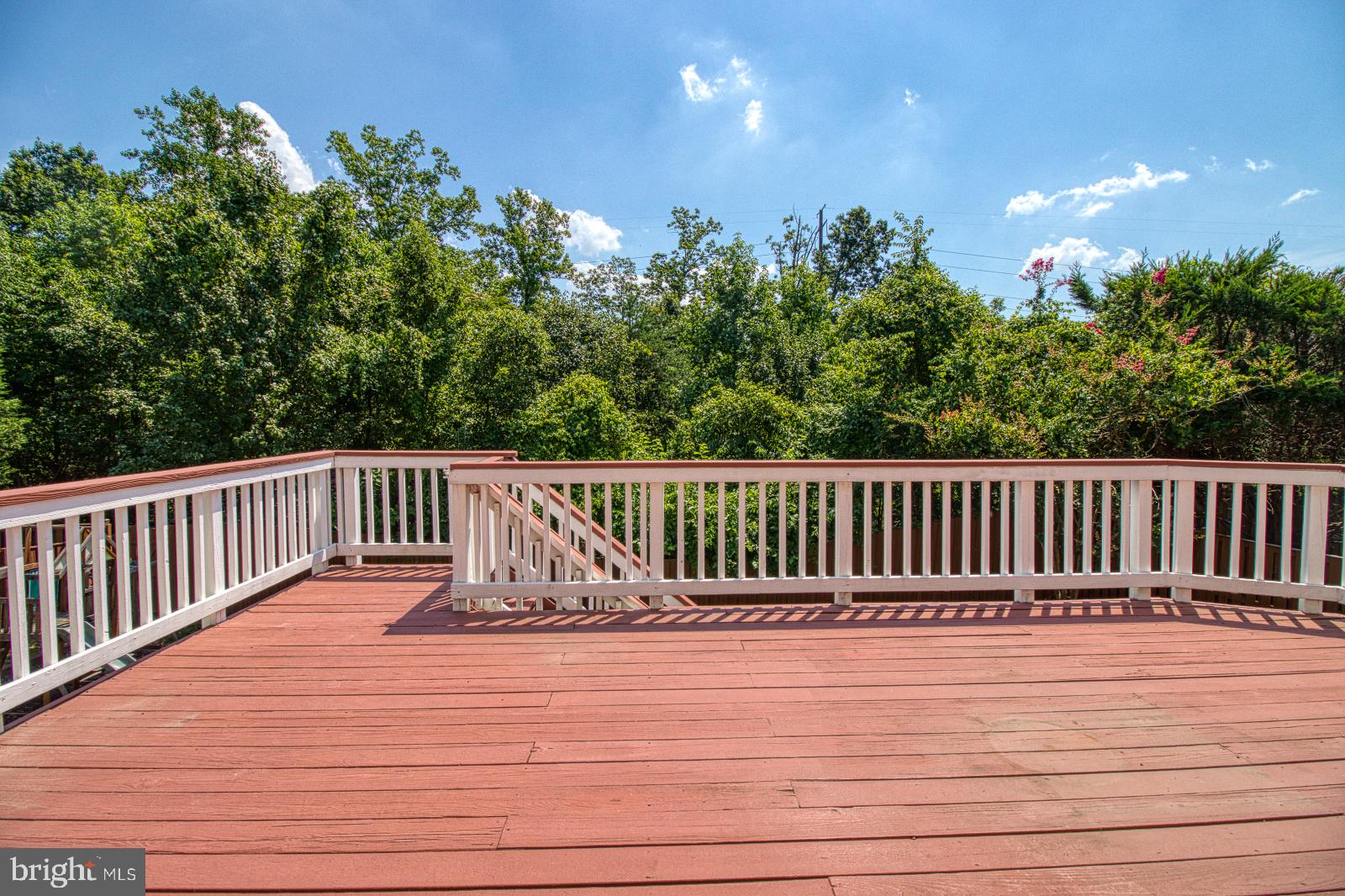 6151 Deer Ridge Trail Springfield, VA 22150 - Photo 39 of 42